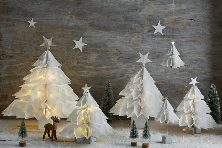 Produktbild Weihnachtsdeko aus Papiertüten (Deutsch, Elisabeth Rath, 2021)