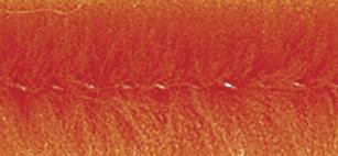 Produktbild Rayher Chenilledraht, orange, 10 Stück (0.50 m)