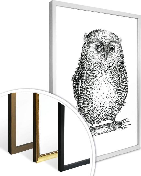 Produktbild Trenddeko Kvilis - Eule 02 (40 x 50 cm)