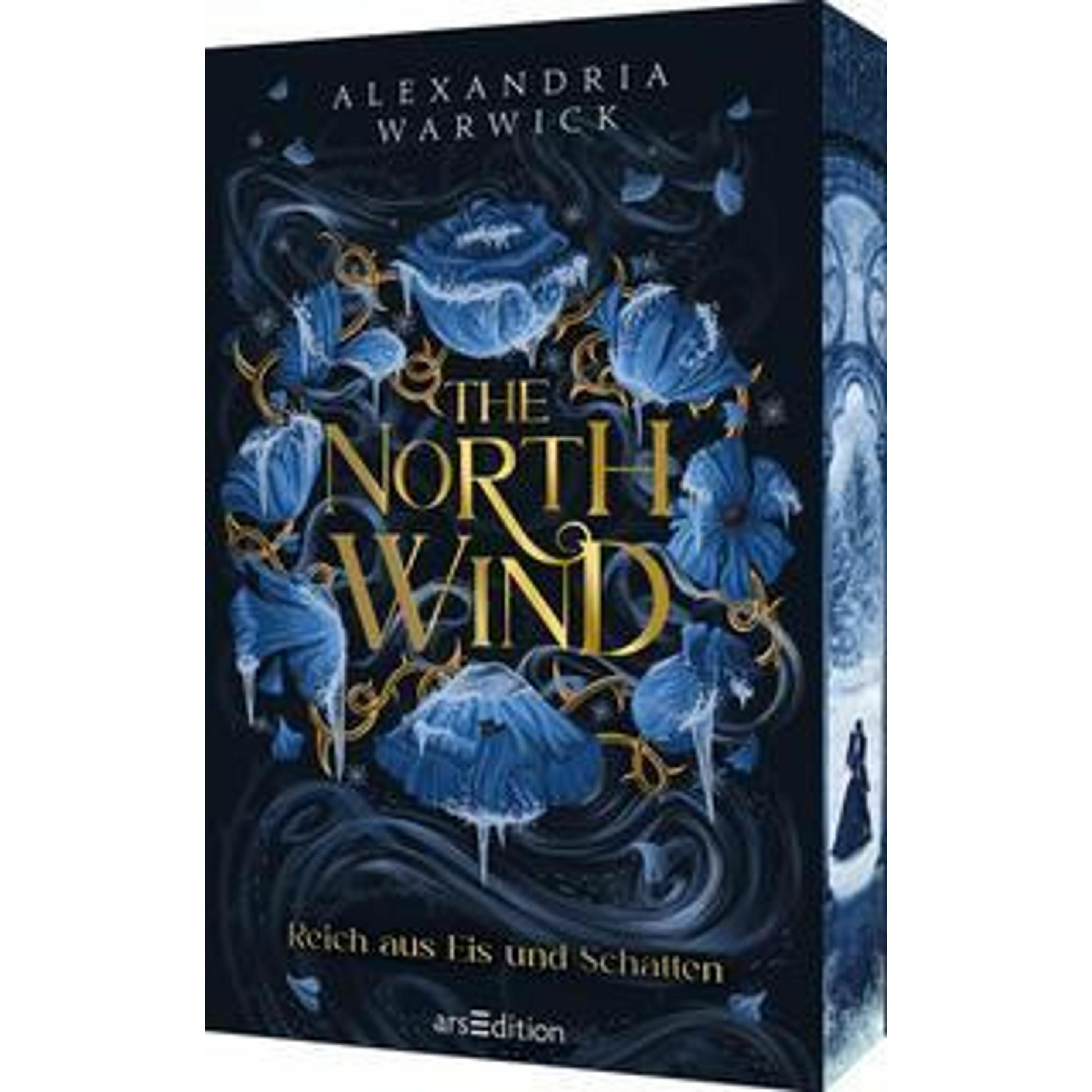 The North Wind – Reich aus Eis und Schatten (The Four Winds 1), Belletristik von Alexandria Warwick