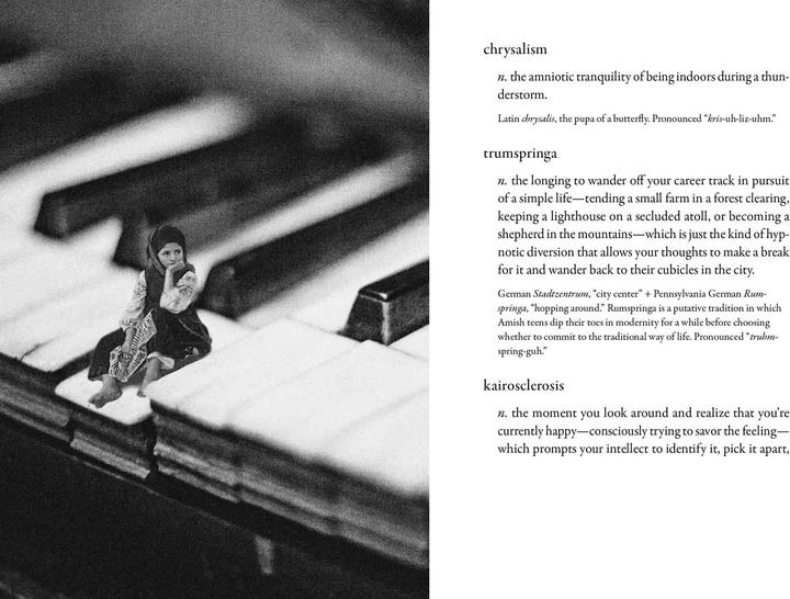 Produktbild The Dictionary of Obscure Sorrows (Englisch, Koenig John, 2021)