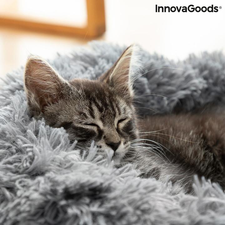 Productafbeelding InnovaGoods Bepess (Hond, Kat)
