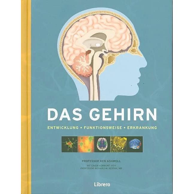 Ashwell:Das Gehirn, Ratgeber von Ken Ashwell