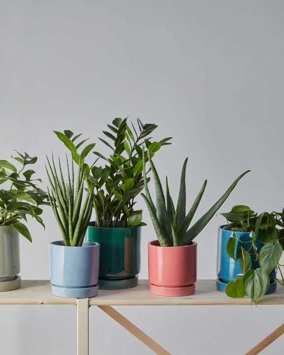 Immagine prodotto micasa Amaya (0.00 cm)