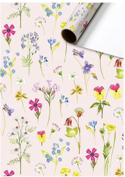 Stewo Everyday (Papier cadeau, 1 x)