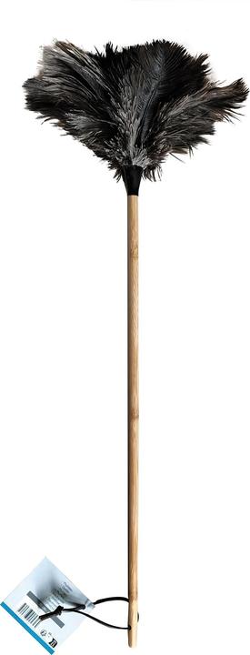 Actual product image MSV Bastien (1 pcs.)