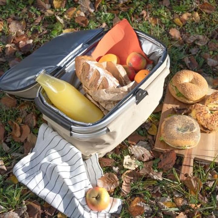 Immagine prodotto Livoo PicnicBag