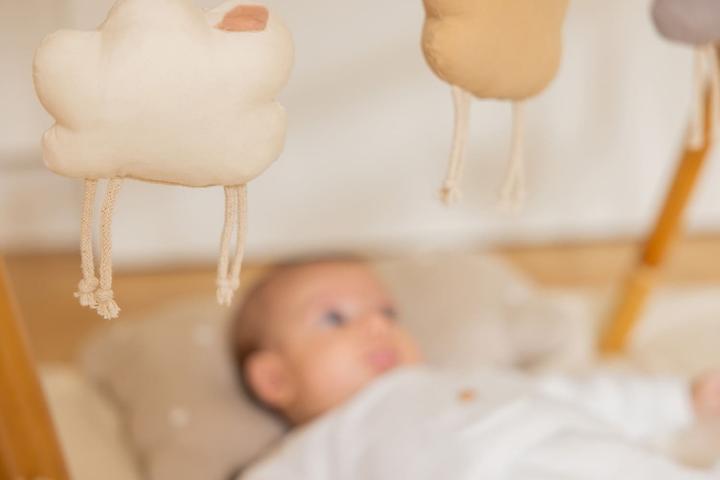 Produktbild Lorena Canals Rattle toy hangers (3er Set) - Little Sheep
