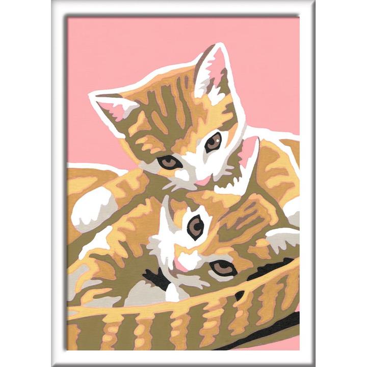 Produktbild Ravensburger Katzenbabys