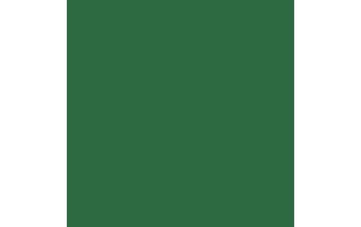 Actual product image Amsterdam Acrylic Paint Standard Series 619 (Permanent green Dark, 120 ml)