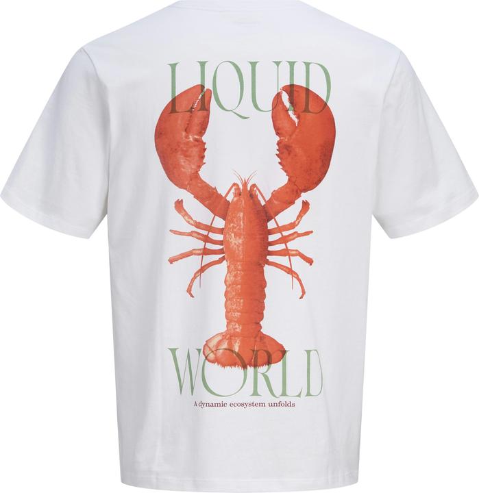 Produktbild Jack & Jones Jorocean Tee Ss Crew Neck Frss26 (M)