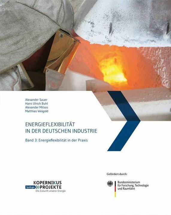 Produktbild Energieflexibilität in der deutschen Industrie