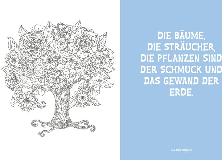 Immagine prodotto Colorful Mandala – Botanischer Garten