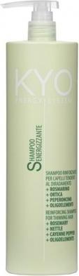 Produktbild KYO Energy System Reinforcing Shampoo 1000ml (1000 ml, Flüssiges Shampoo)