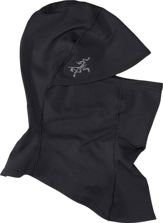 Arc'teryx Rho