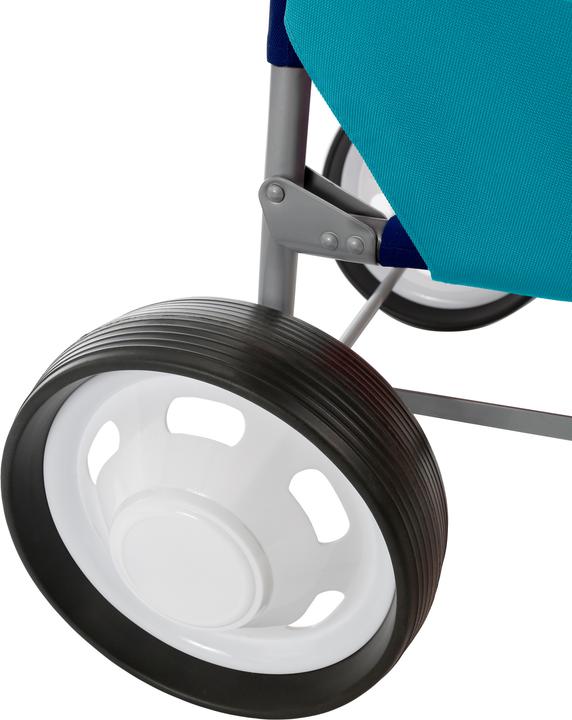 Actual product image Brunner Beach Cart Ng