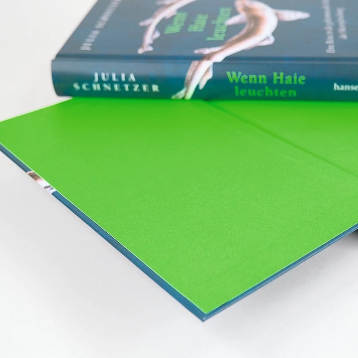 Produktbild Hanserblau Wenn Haie leuchten (Deutsch, Julia Schnetzer, 2021)