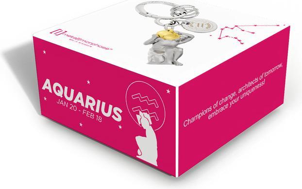 Image du produit Metalmorphose Keyring Aquarius