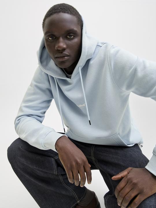 Produktbild Jack & Jones Jjesoho Sweat Hood Noos (XS)