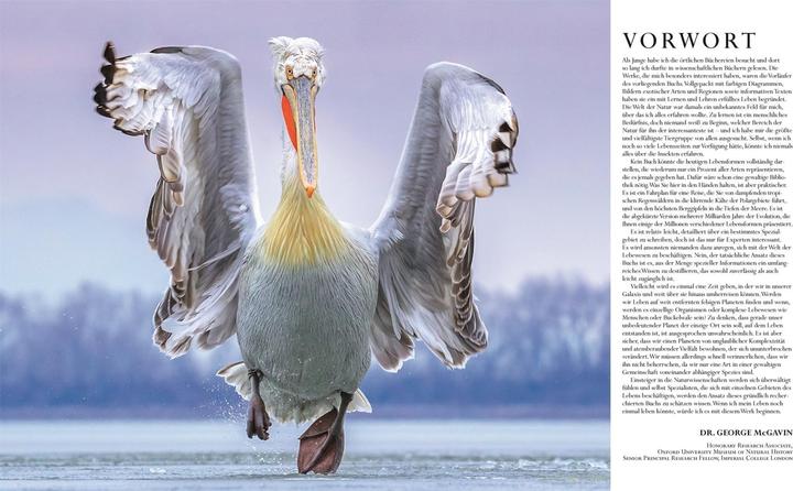 Actual product image Die Natur in über 5000 Fotos (German, David Bernie, 2021)