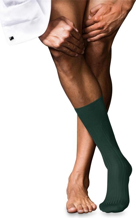 Immagine prodotto Falke No. 10 SO (41 - 42)