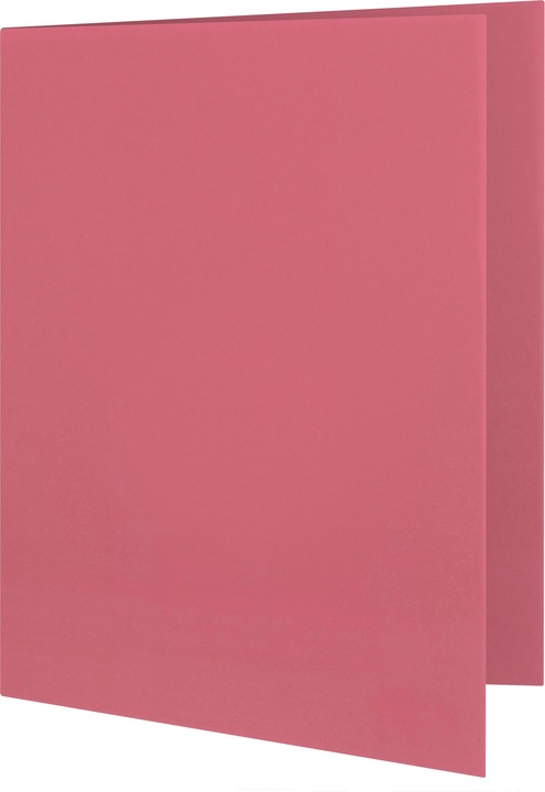 Image du produit Elba Chemises pour dossiers, DIN A4, carton de Manille, sans impression, rouge 250 g-qm (A4, 1 x)