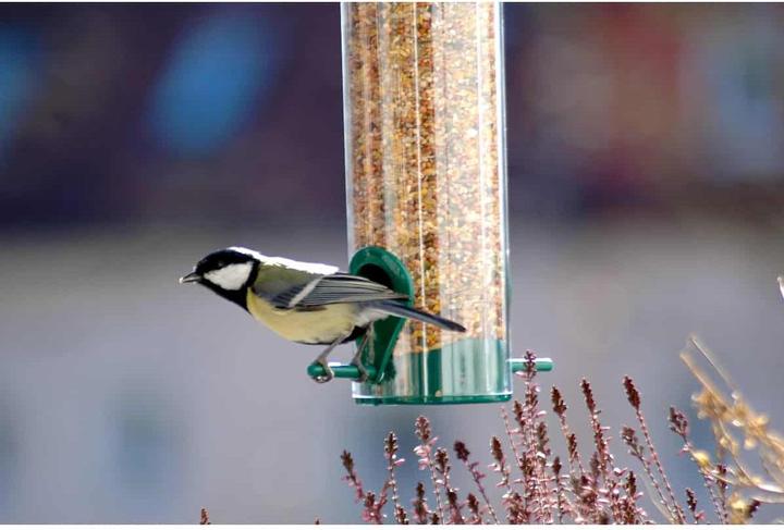 Image du produit Dobar Futtersäule dobar aus Kunststoff 7x23 cm grün