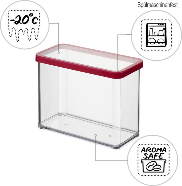 Actual product image Rotho Pojemnik LOFT 2 1 L (2 l)