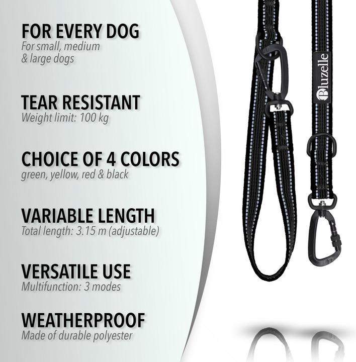 Produktbild Bluzelle Hundeleine (XL, Hund, Spazieren)