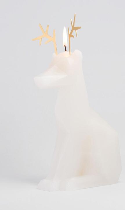 Image du produit 54Celsius PyroPet Dyri (1 pcs)