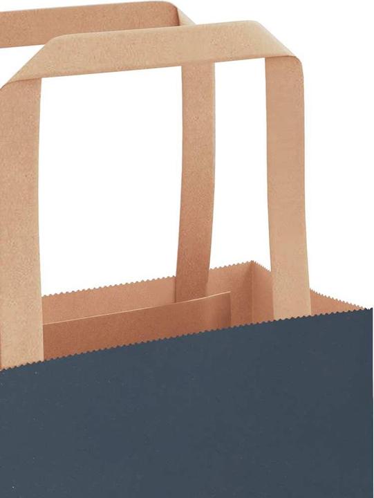 Image du produit VidaXL Sacs en papier kraft 250 pcs. avec anse bleu 26x17x25 cm Sac en papier (Pochette cadeau, 250 x)