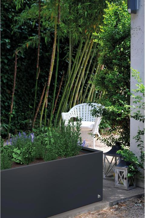 Image du produit Herstera Edge 50