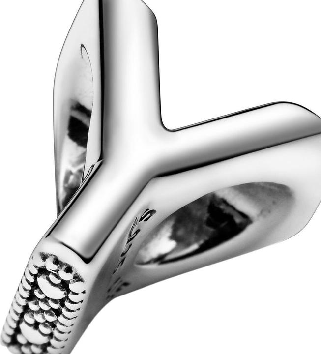 Image du produit Pandora Letter Y Charm (Argent)