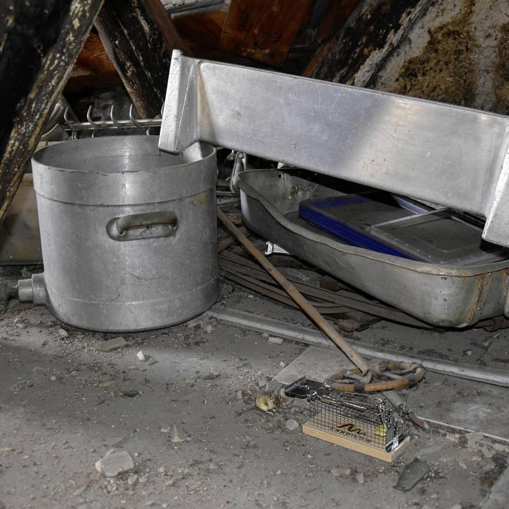 Productafbeelding Gardigo Mausefalle