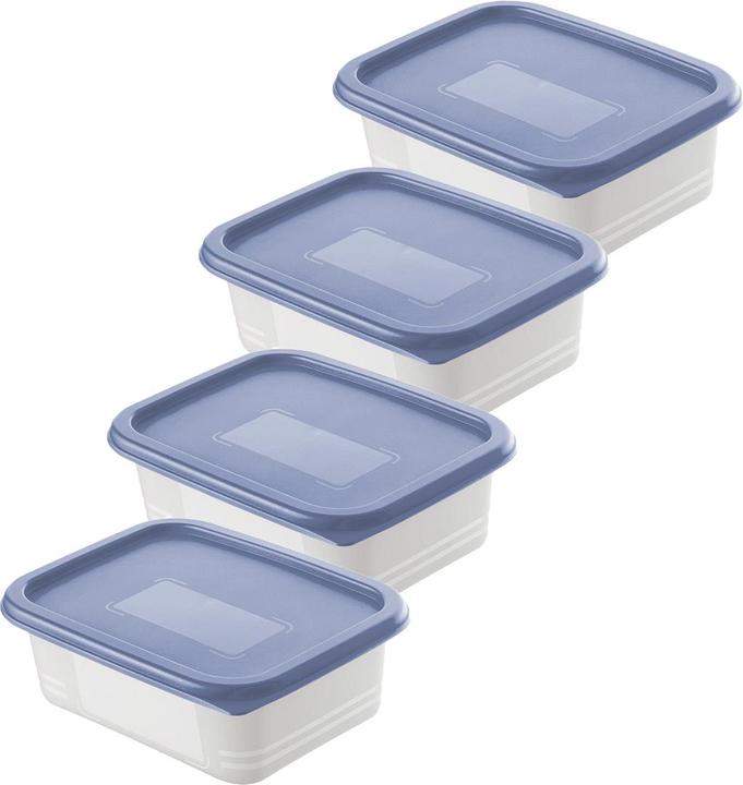 Rotho Gefrierdosen Set (0.50 l)