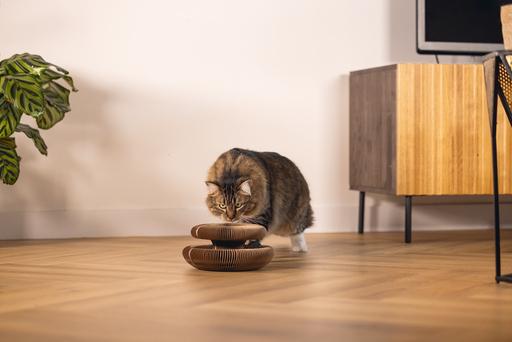 Actual product image Beeztees Hide (10 cm, Rose)