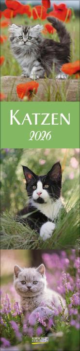 Produktbild Katzen Langplaner 2026