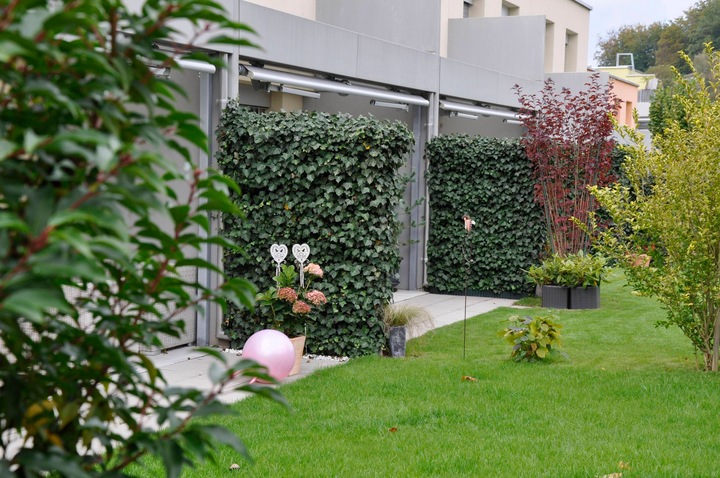 Actual product image Mobilane Hedge (100 cm)