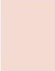 Image du produit Wet n Wild ML Incognito All Day Conceal 1111894E (Beige clair)