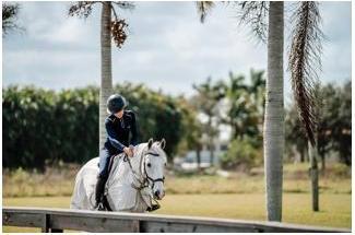 Produktbild Horseware Ausreitdecke Amigo