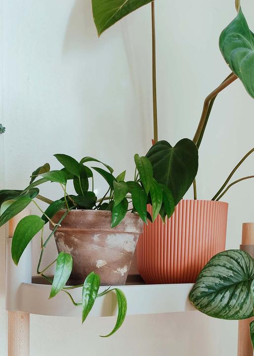 Image du produit CitySens Blumenregal