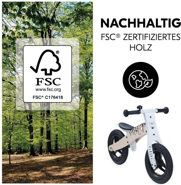 Image du produit Hauck Balance N Ride Zebra (12")