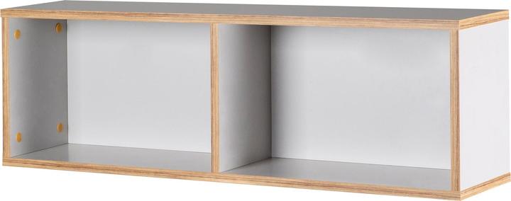 Roba Etagère murale Caro (20 x 29 x 90 cm)