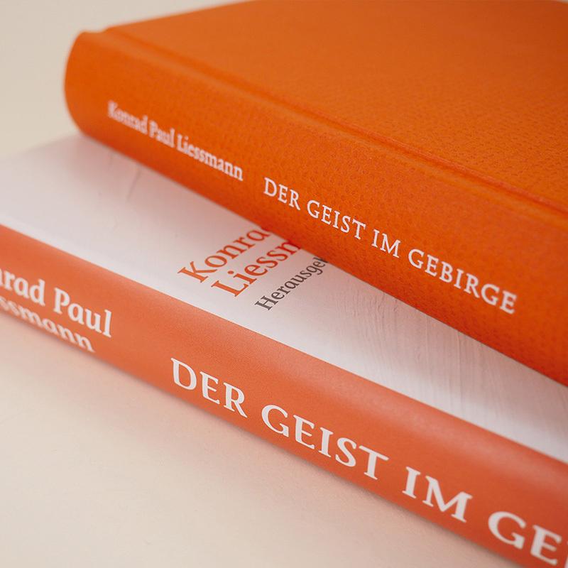 Thumbnail - Der Geist im Gebirge, Fachbücher von Konrad Paul Liessmann