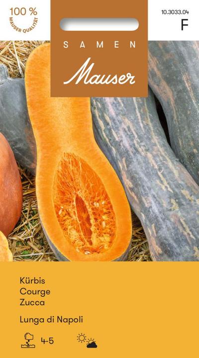 Image du produit Samen Mauser Courge Lunga di Napoli (Graines de légumes)