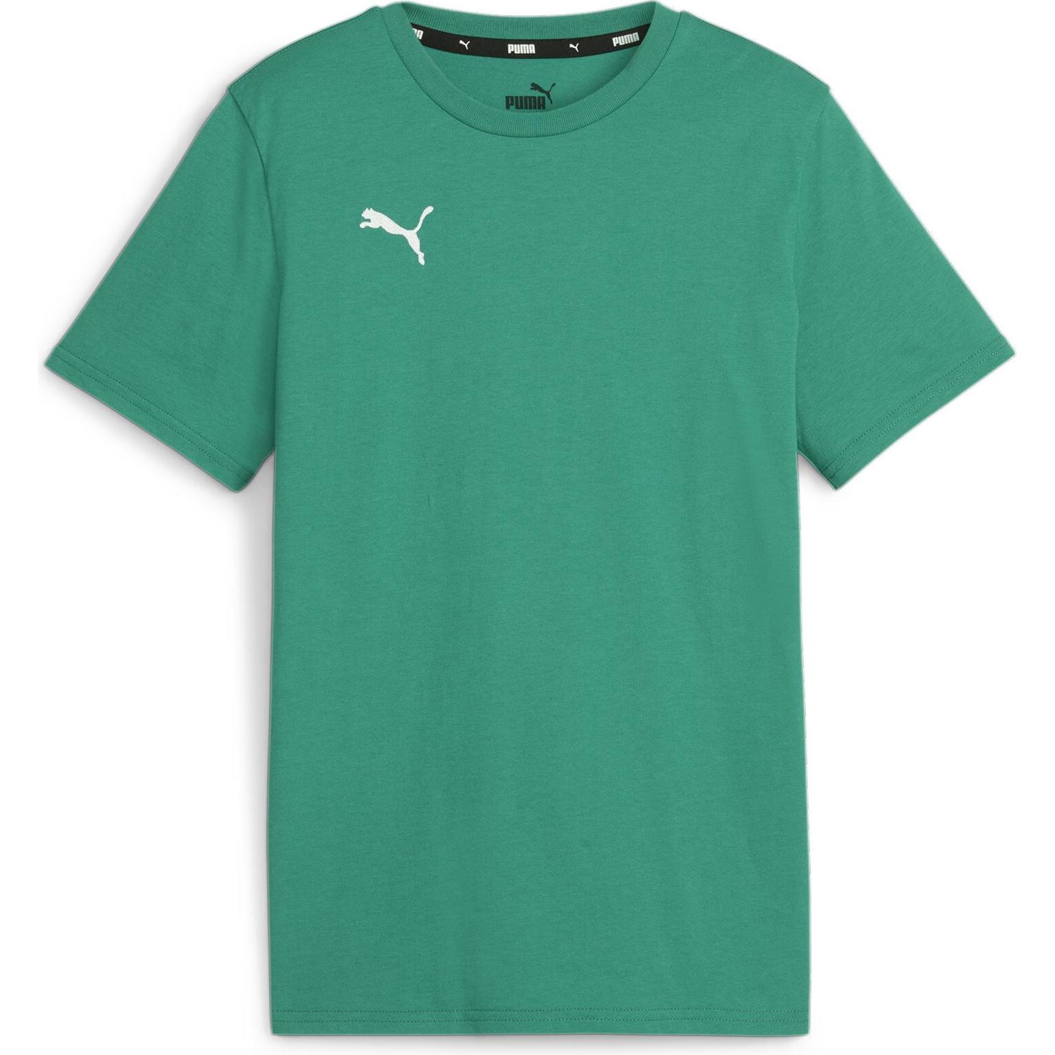 Puma, Jungen, Sportshirt, teamGOAL Casuals Tee Jr (128), Grün, 128