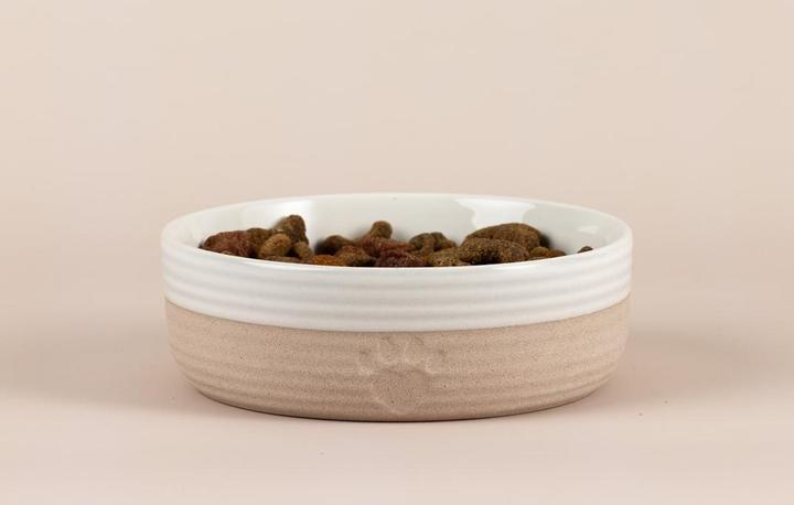 Actual product image Mason Cash Heatr Paw food bowl