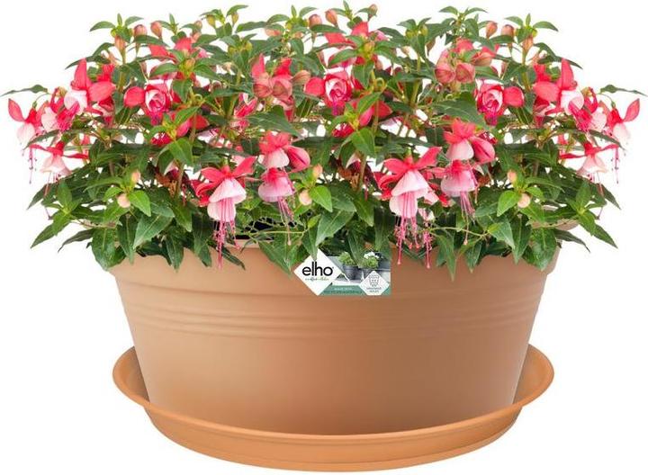 Produktbild Elho Basic PP