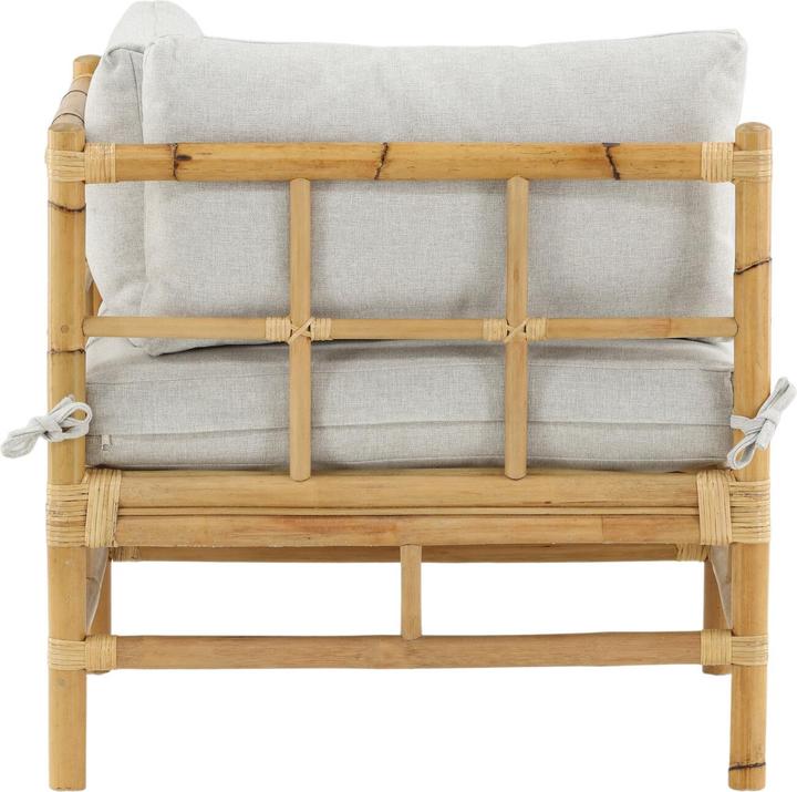 Produktbild Venture Home Cane