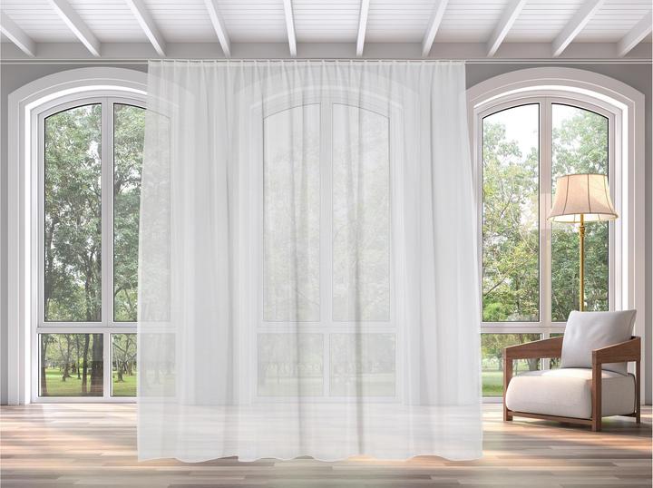 Produktbild Casa Leon Tagvorhang mit Faltenband (450 x 245 cm)